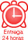 Entrega en 24 horas